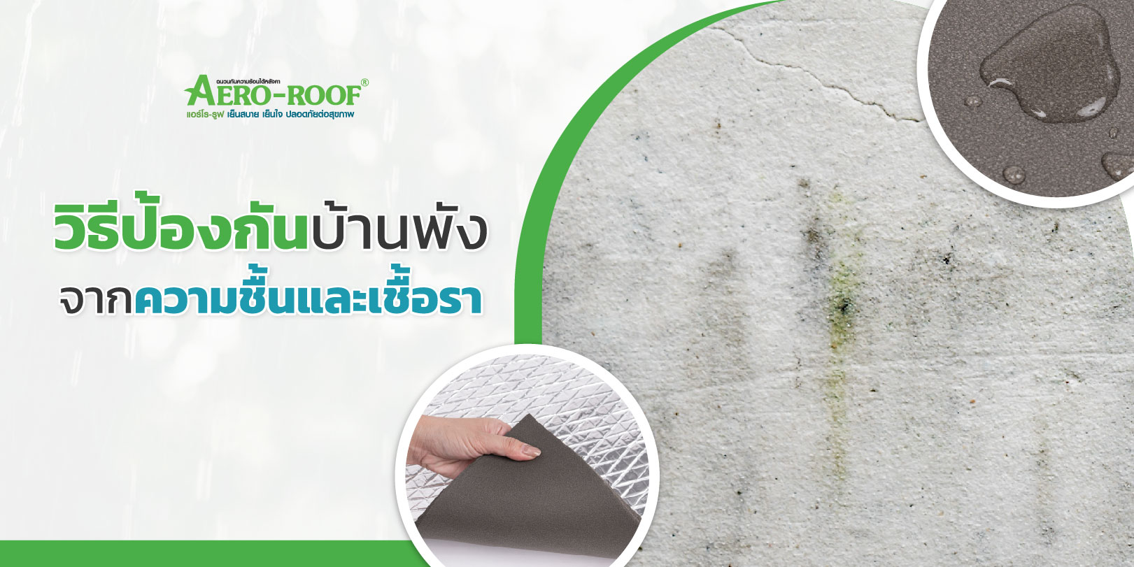 Longform วิธีป้องกันบ้านพัง จากความชื้นและเชื้อรา